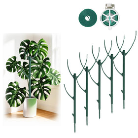 YOYOKIT stackable plant stake supporting Monstera for upright growth