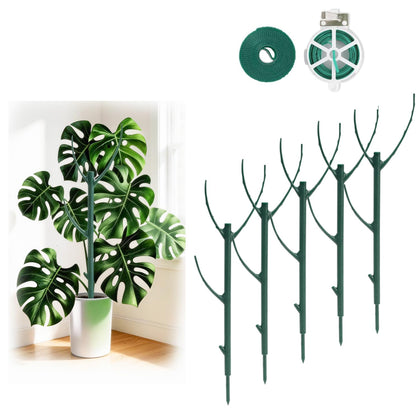 YOYOKIT stackable plant stake supporting Monstera for upright growth