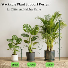 YOYOKIT stackable stake helps orchid stems stay elegant while blooms shine