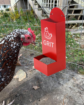 YQDHYLYH grit feeder supports healthy digestion with easy-access supplementation
