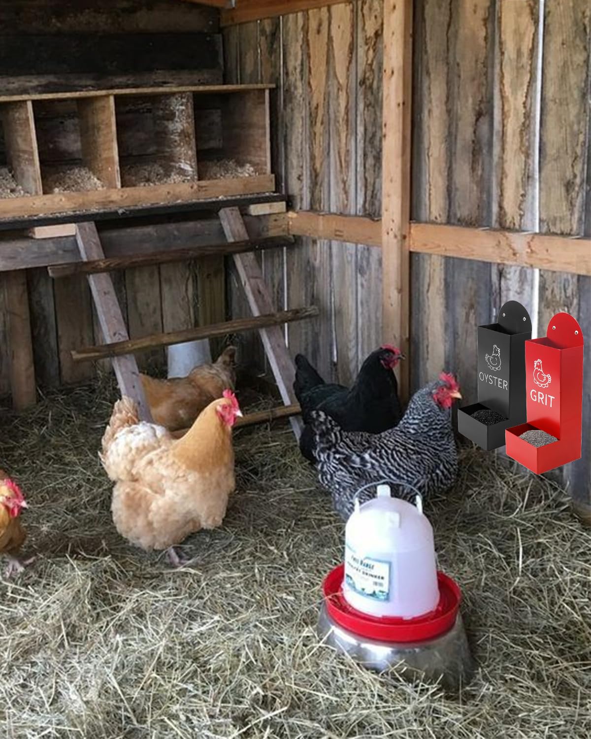 YQDHYLYH oyster shell and grit feeder combo supports healthier flock nutrition