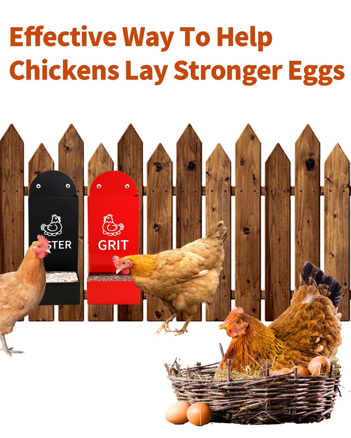 YQDHYLYH oyster shell dispenser keeps chickens nourished and reduces waste