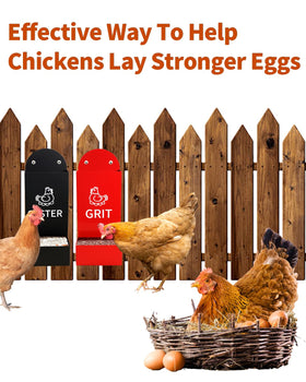 YQDHYLYH oyster shell dispenser keeps chickens nourished and reduces waste