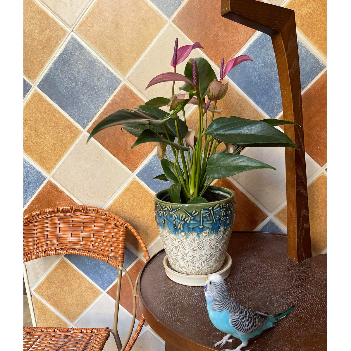 Set of 2 ceramic planters fits small spaces and elevates decor