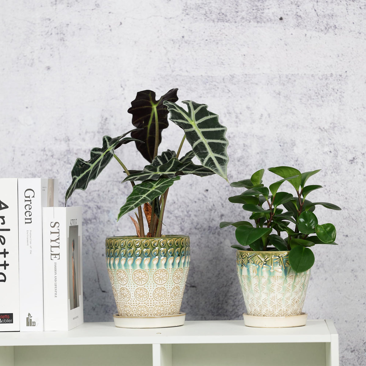 Saucer-under-pot prevents water damage with YQSLYSF ceramic planters