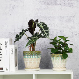 Saucer-under-pot prevents water damage with YQSLYSF ceramic planters