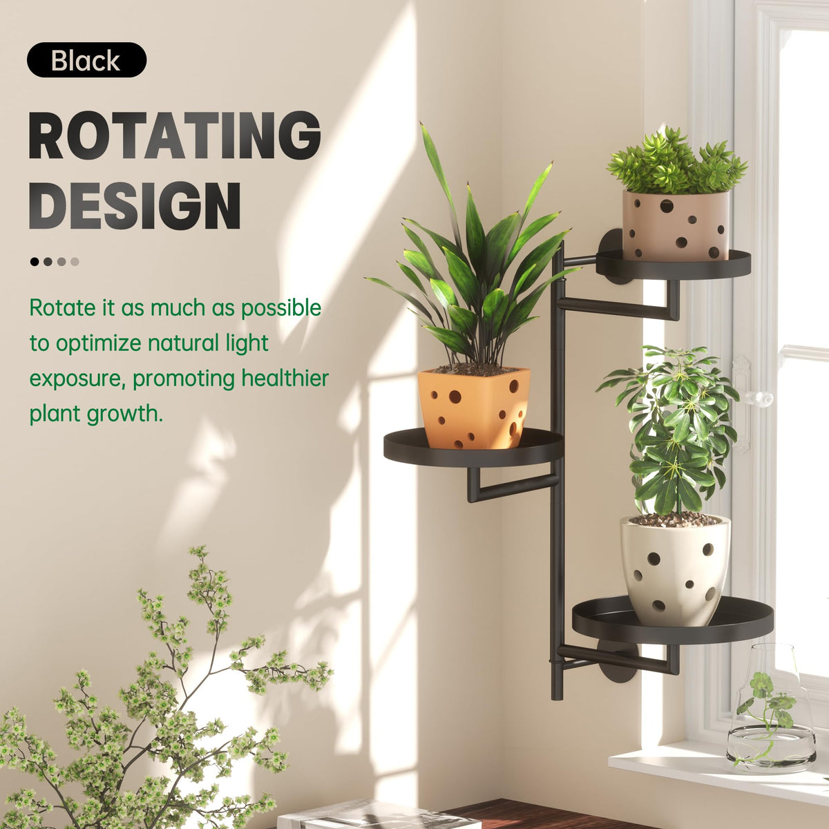 YQSLYSF wall-mounted shelves maximize sunlight exposure for sun-loving herbs.