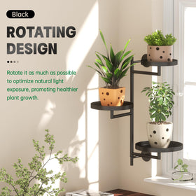 YQSLYSF wall-mounted shelves maximize sunlight exposure for sun-loving herbs.
