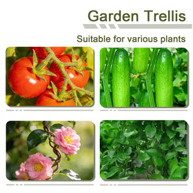 Ytgarflnzw garden trellis tool-free assembly snaps together quickly.