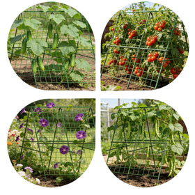 Ytgarflnzw garden trellis with A-frame is easy to install.