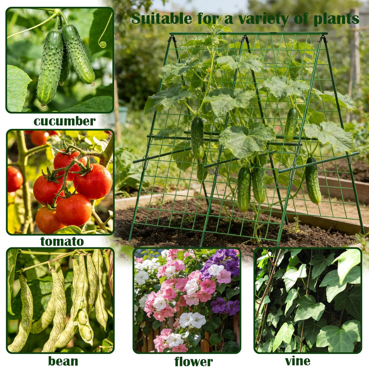 Ytgarflnzw raised-bed garden trellis simplifies installation and plant support.