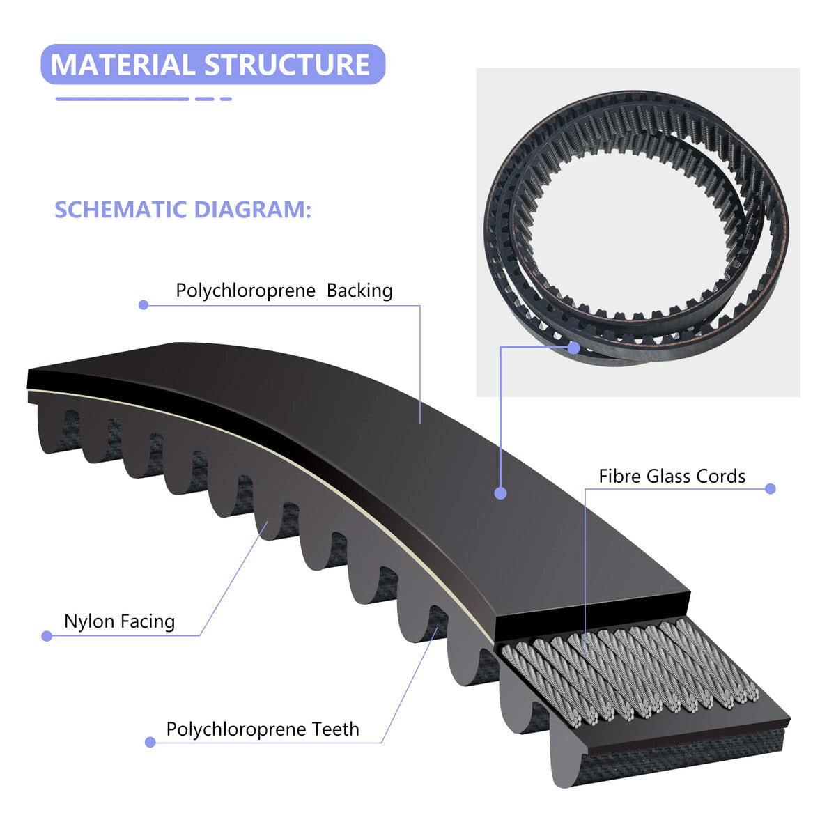 Ytpoools chloroprene rubber core resists fatigue during use