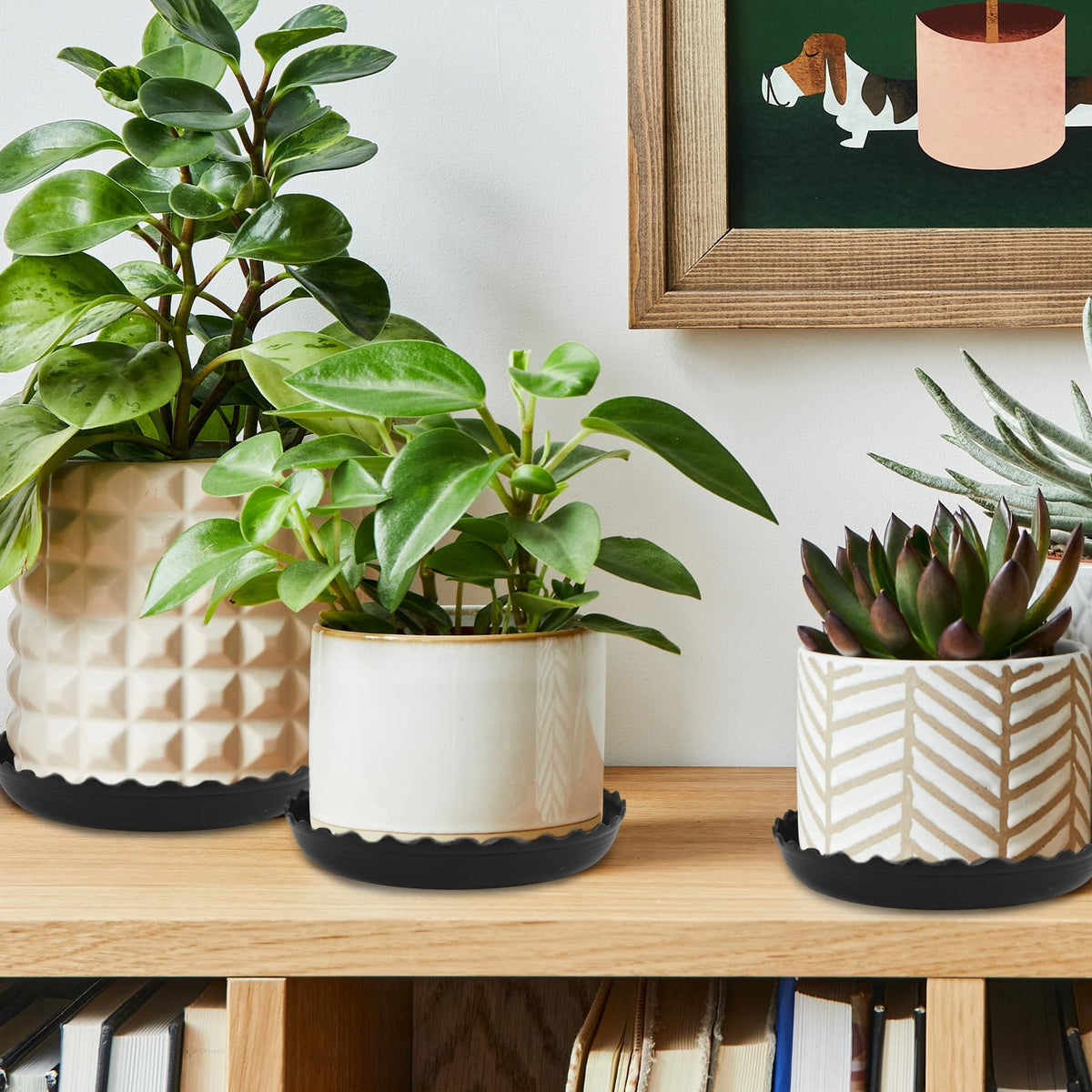 YUANAIYI Wave Saucer 10inch setup supports heavy pots safely.