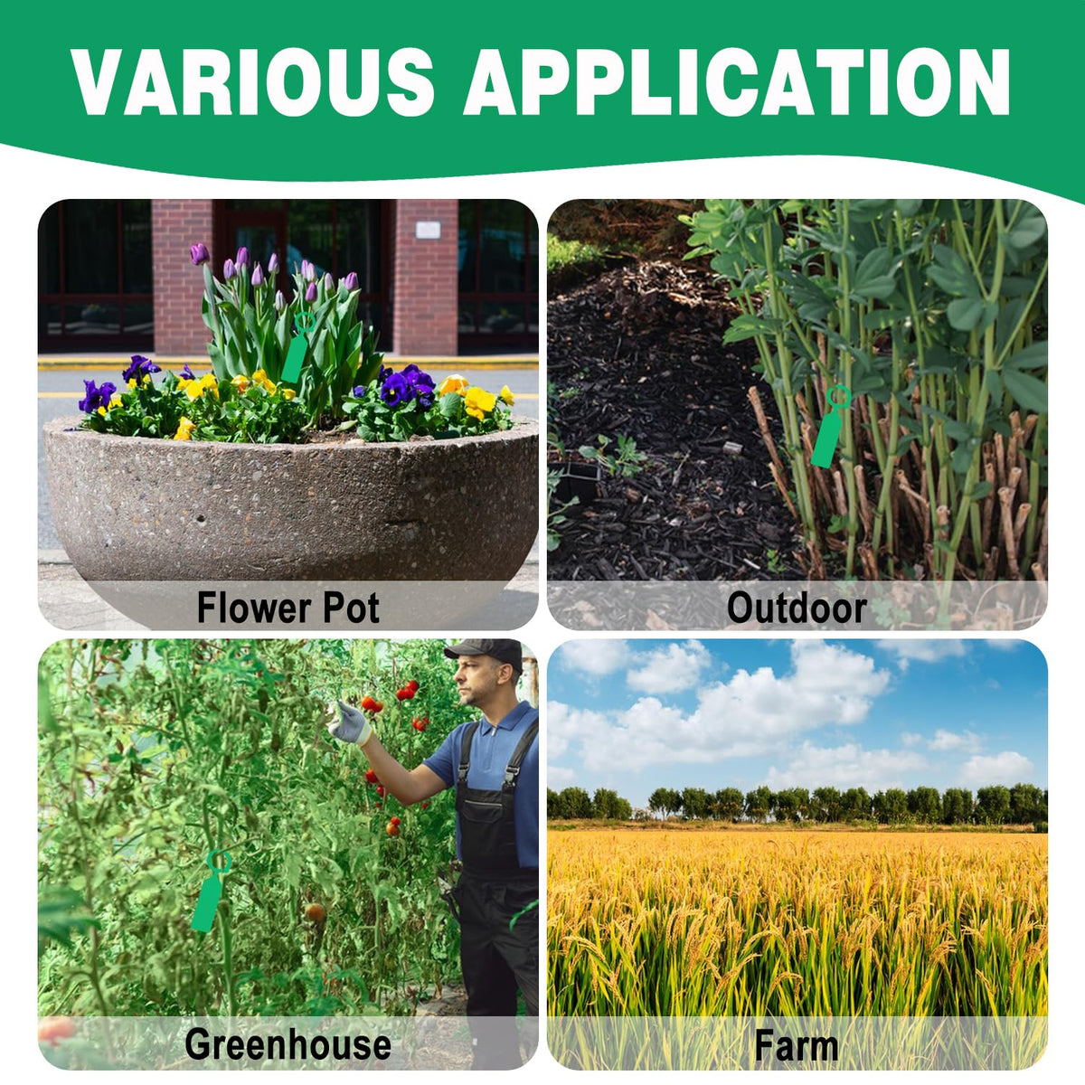 Yuanling 10-color set helps organize plants by type in the garden.