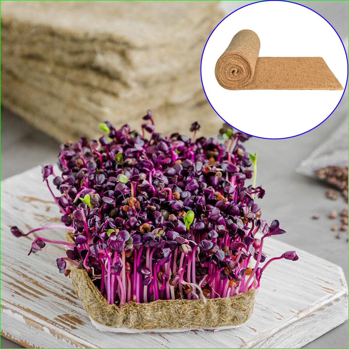 Yuanwovv biodegradable seed mat ready for easy cleanup after harvest