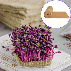 Yuanwovv biodegradable seed mat ready for easy cleanup after harvest