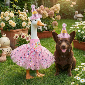 Yuboo outdoor materials, durable fabric, weather-ready for lawn geese.