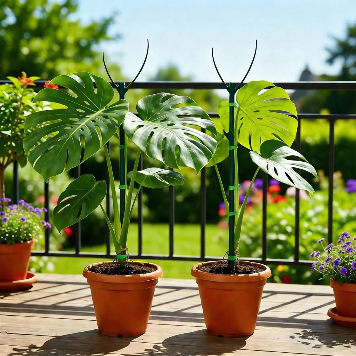 Yuekuzap compact stake offers unobtrusive indoor plant support