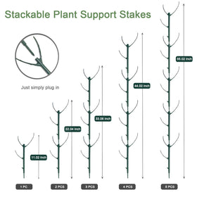 Yuekuzap plant ties secure stems for guided growth and neat display