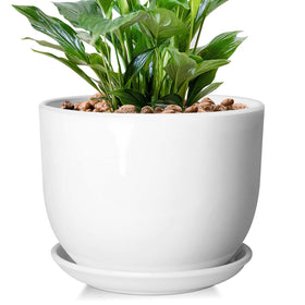 YUFDA 8-Inch ceramic planter in glossy white, ideal for indoor display.