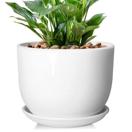 YUFDA 8-Inch ceramic planter in glossy white, ideal for indoor display.