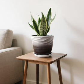 YUFDA plant pot close-up highlights glossy glaze and modern black-and-white design.