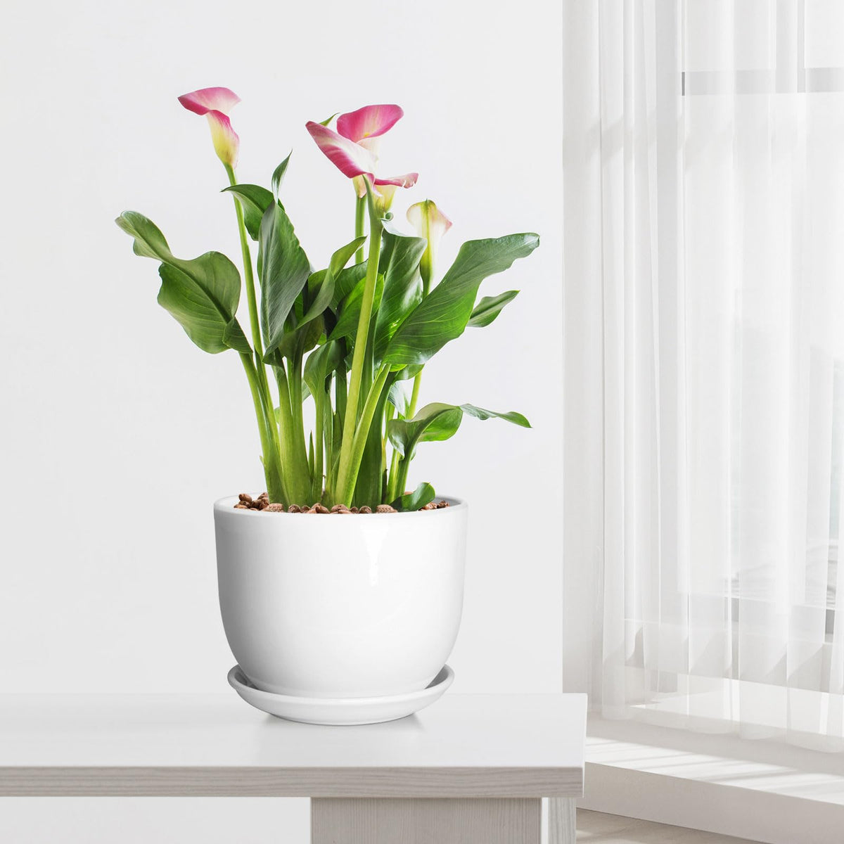 YUFDA ceramic pot perfect for succulents and orchids.