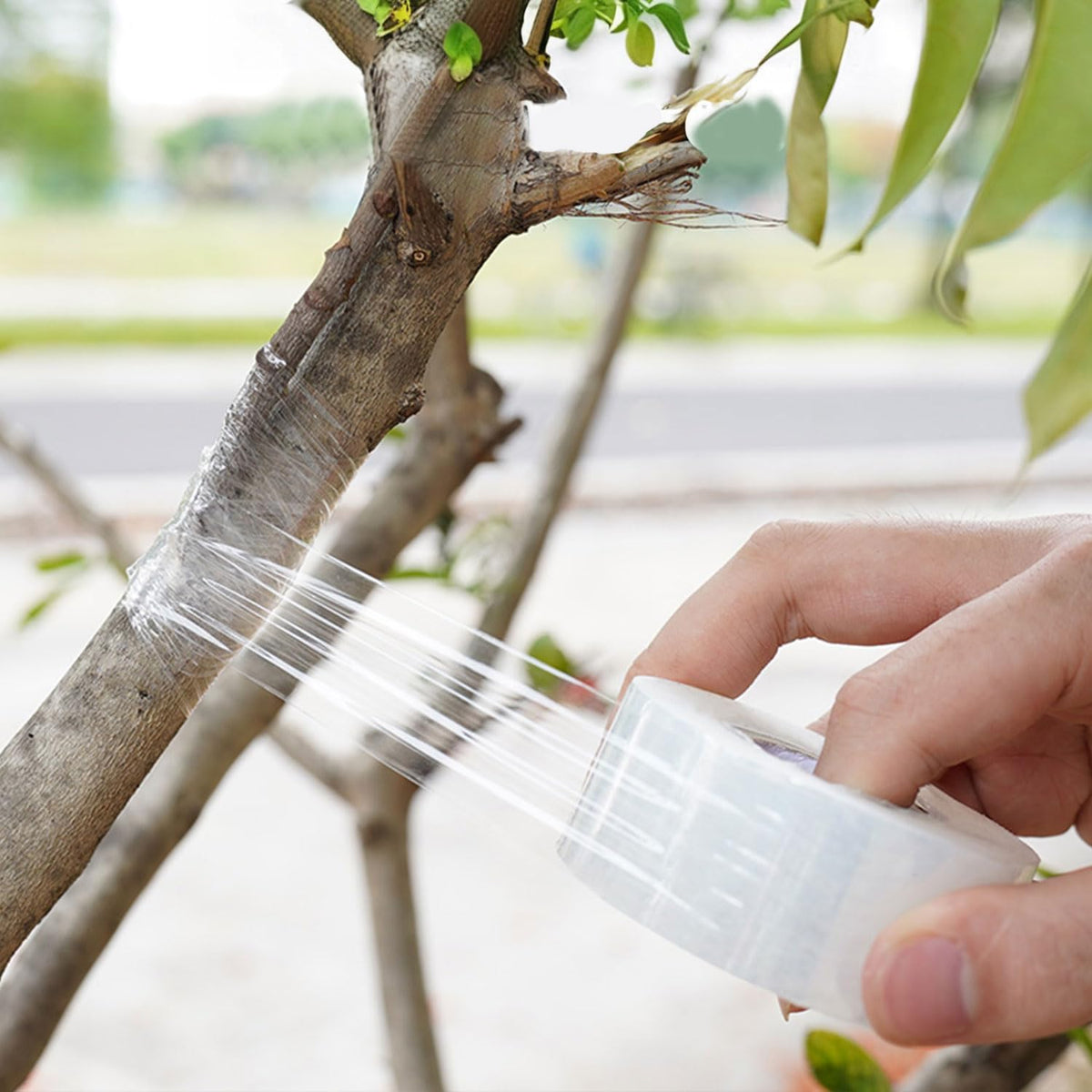 YUFDA floristry film clear provides moisture barrier during pruning and tying tasks.