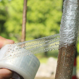 YUFDA grafting tape rolled is ready for orchard and nursery grafting.