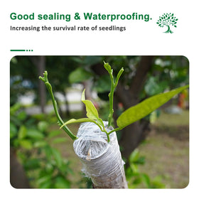 YUFDA parafilm grafting tape on apple tree seals graft while allowing light.