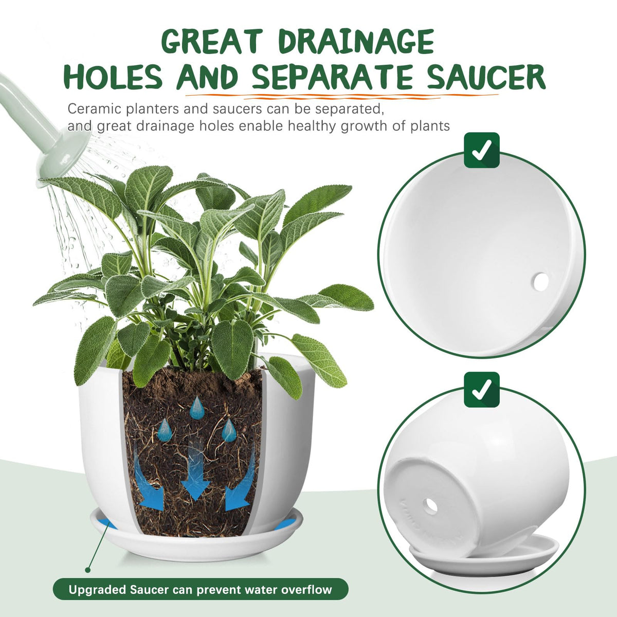 YUFDA planter with separable saucer for easy moisture management.