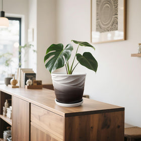 YUFDA pot with saucer catches excess water to protect floors.