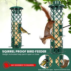 YUGYUM 3lb capacity bird feeder shows clear seed tube for easy monitoring.