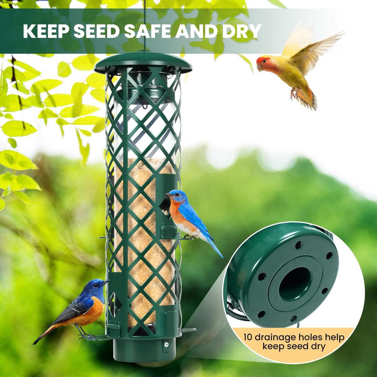 YUGYUM four-port feeding system invites multiple small birds to feed together.