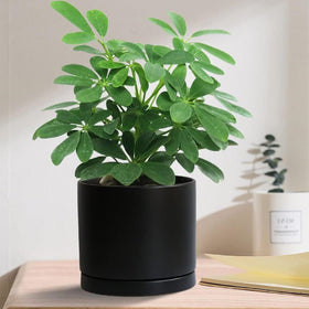 Yukfona ceramic plant saucer 7-inch bottom view; smooth glaze for easy cleaning