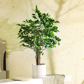 Yukfona durable ceramic material with glazed finish for longevity.