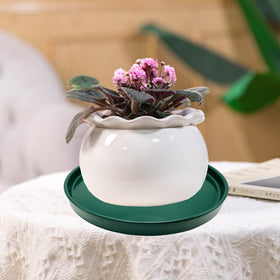Yukfona ceramic plant saucer green multi-size range for various pots