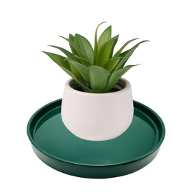 Yukfona ceramic plant saucer green closeup highlights waterproof surface and texture