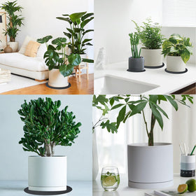 Yukfona protective surface saucer guards floors and furniture.