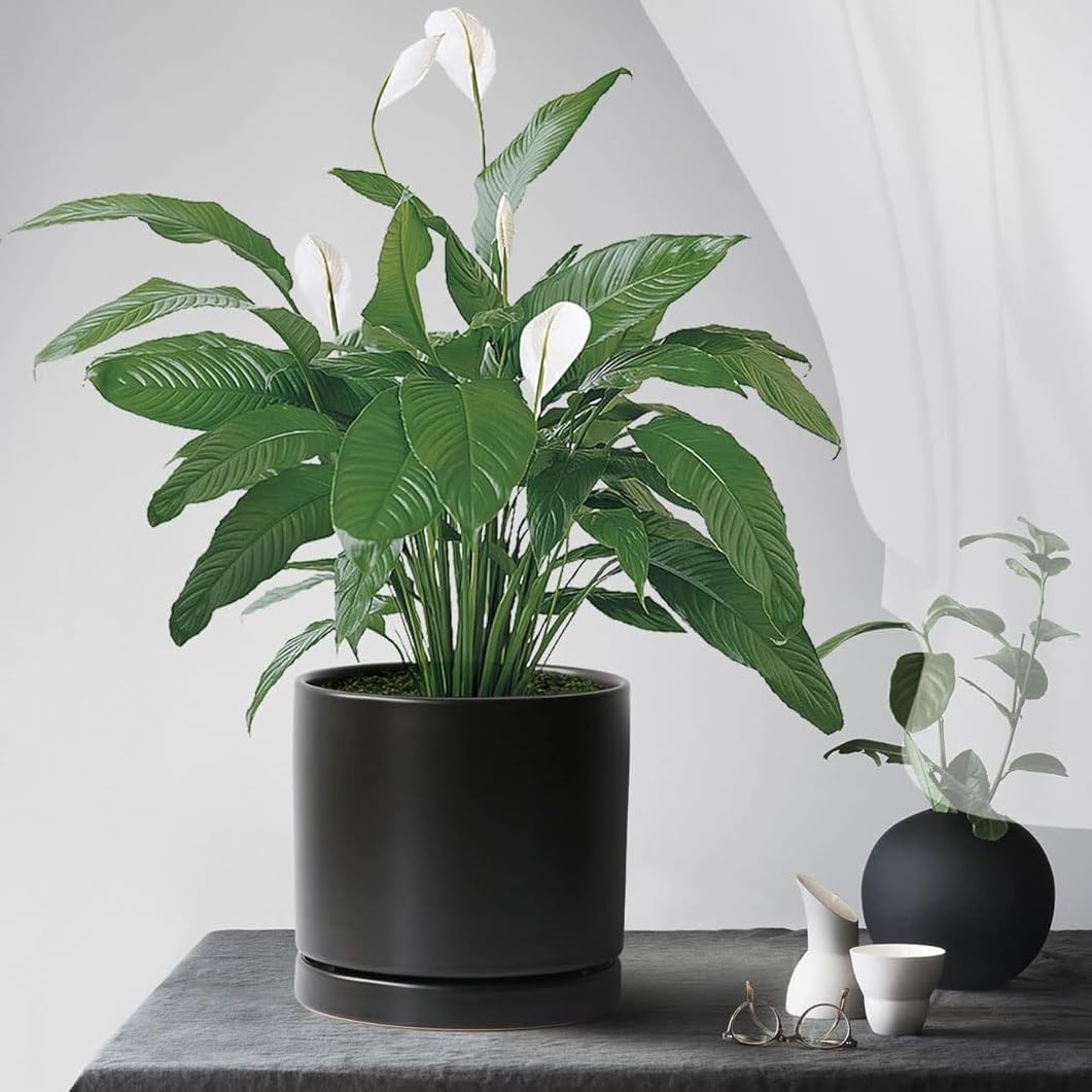 Yukfona easy-clean ceramic saucer with smooth surface