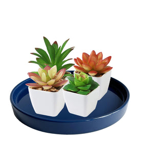 Yukfona indoor outdoor use suited for glazed pots and decor.