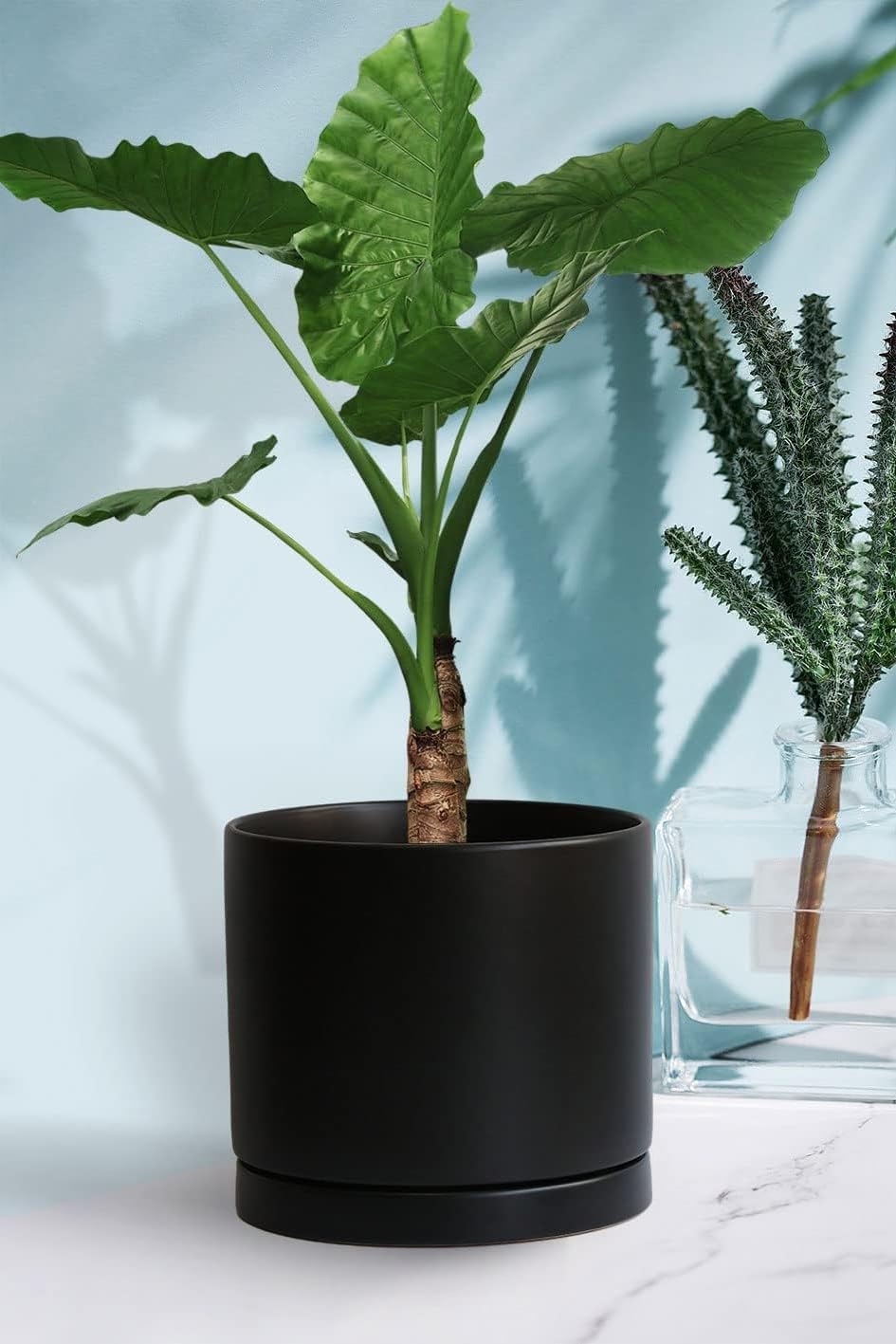 Yukfona indoor outdoor plant saucer suitable for any space