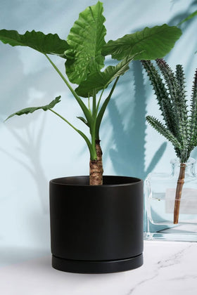 Yukfona indoor outdoor plant saucer suitable for any space