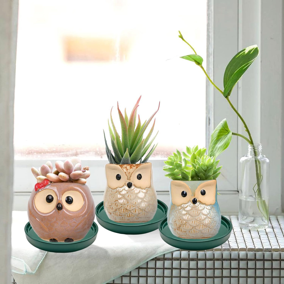 Yukfona plant saucer green indoor-outdoor use example with pots