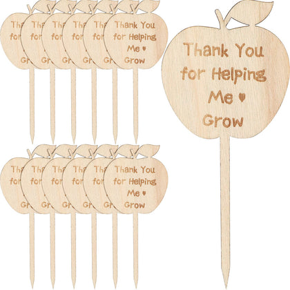 Yulejo apple-shaped succulent tag for labeling plants and gifting teachers.