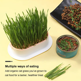 YUMINGUHC indoor pet decor green box blends with home style.