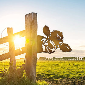 Yungeln Peeping Cow creates shadow play across the yard