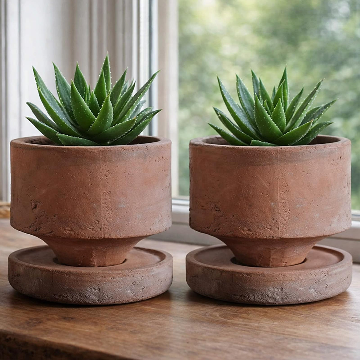 Yungyan compact pot size fits small plants and herbs.