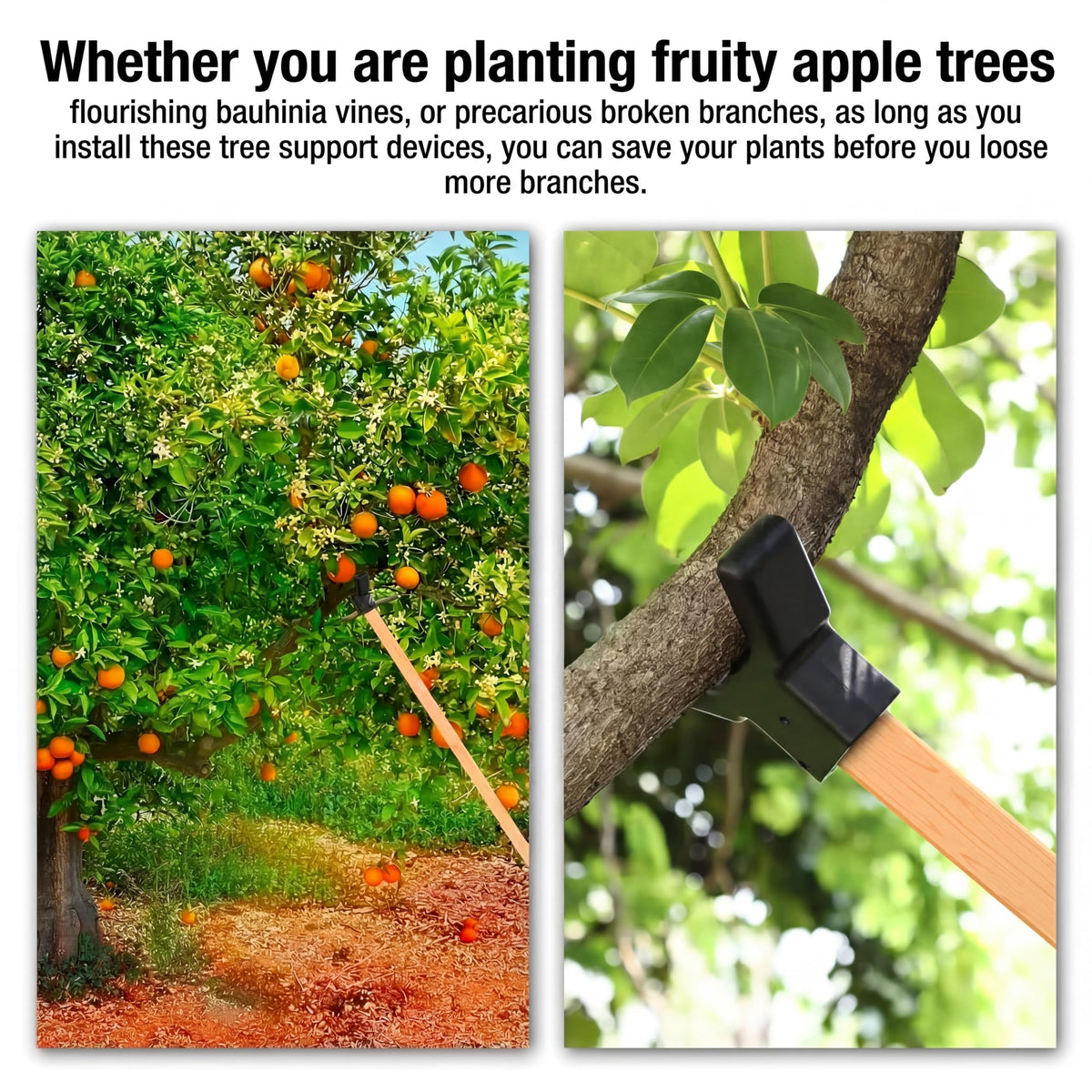 Yungyan orchard-support-kit-grey helps seedlings and small trees stay upright