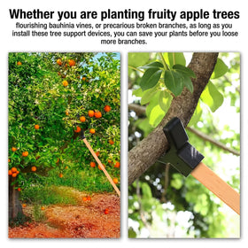 Yungyan orchard-support-kit-grey helps seedlings and small trees stay upright